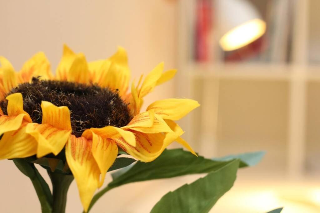 Fast Friend - Cozy Apartment In The Center With Private Garage Rijeka Buitenkant foto