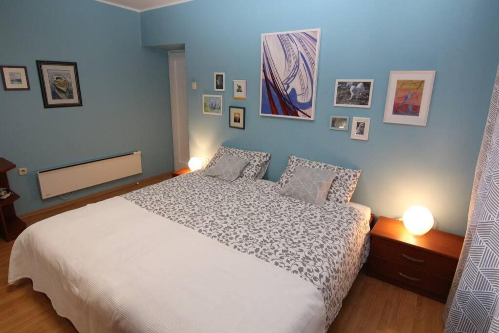 Fast Friend - Cozy Apartment In The Center With Private Garage Rijeka Buitenkant foto